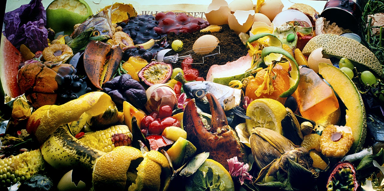 Recycling Food Waste into Renewable Electricity and Bio-Gas