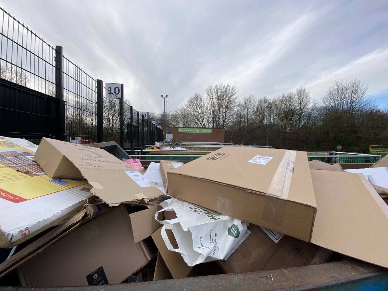 Cardboard