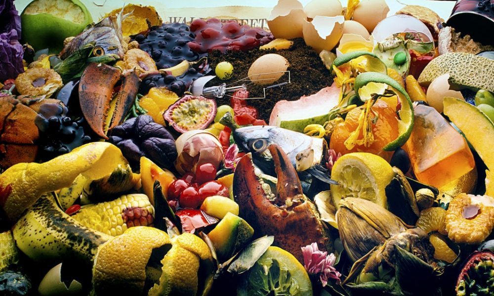 Recycling Food Waste into Renewable Electricity and Bio-Gas